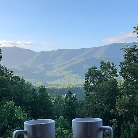Tennessee Roots By Stony Brook Cabins ガトリンバーグ エクステリア 写真