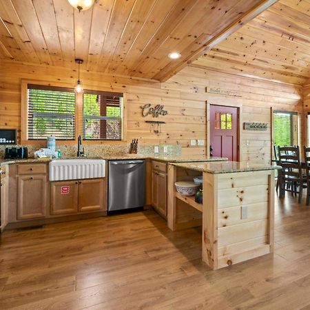 Tennessee Roots By Stony Brook Cabins ガトリンバーグ エクステリア 写真