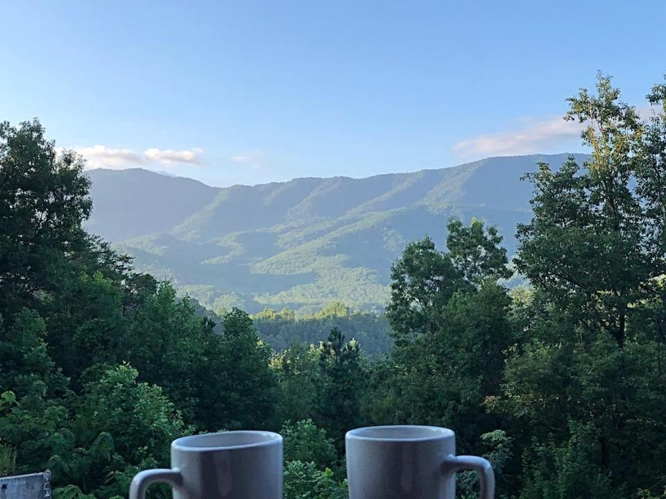 Tennessee Roots By Stony Brook Cabins ガトリンバーグ エクステリア 写真